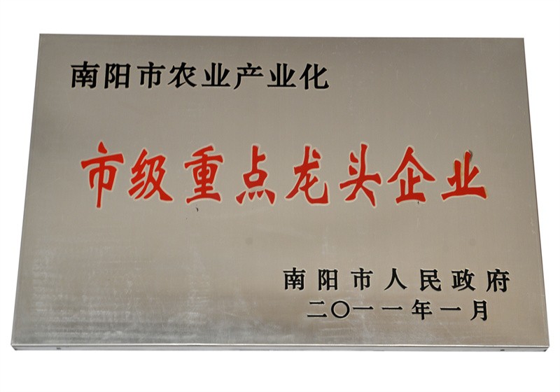 重點龍頭企業(yè)