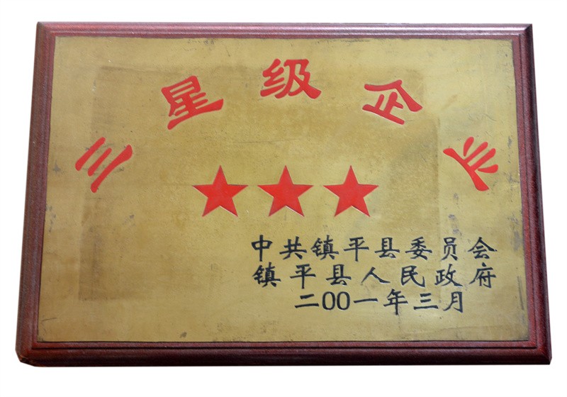 三星級企業(yè)