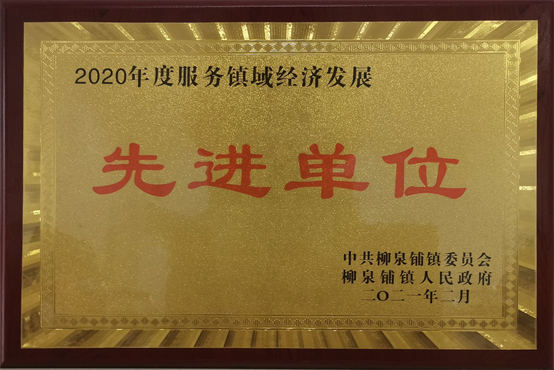 2020年度服務(wù)鎮(zhèn)經(jīng)濟(jì)發(fā)展.jpg
